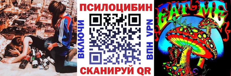 OMG ССЫЛКА  Чадан  Псилоцибиновые грибы Psilocybe 