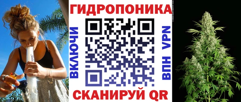 Бошки Шишки Ganja  Чадан 